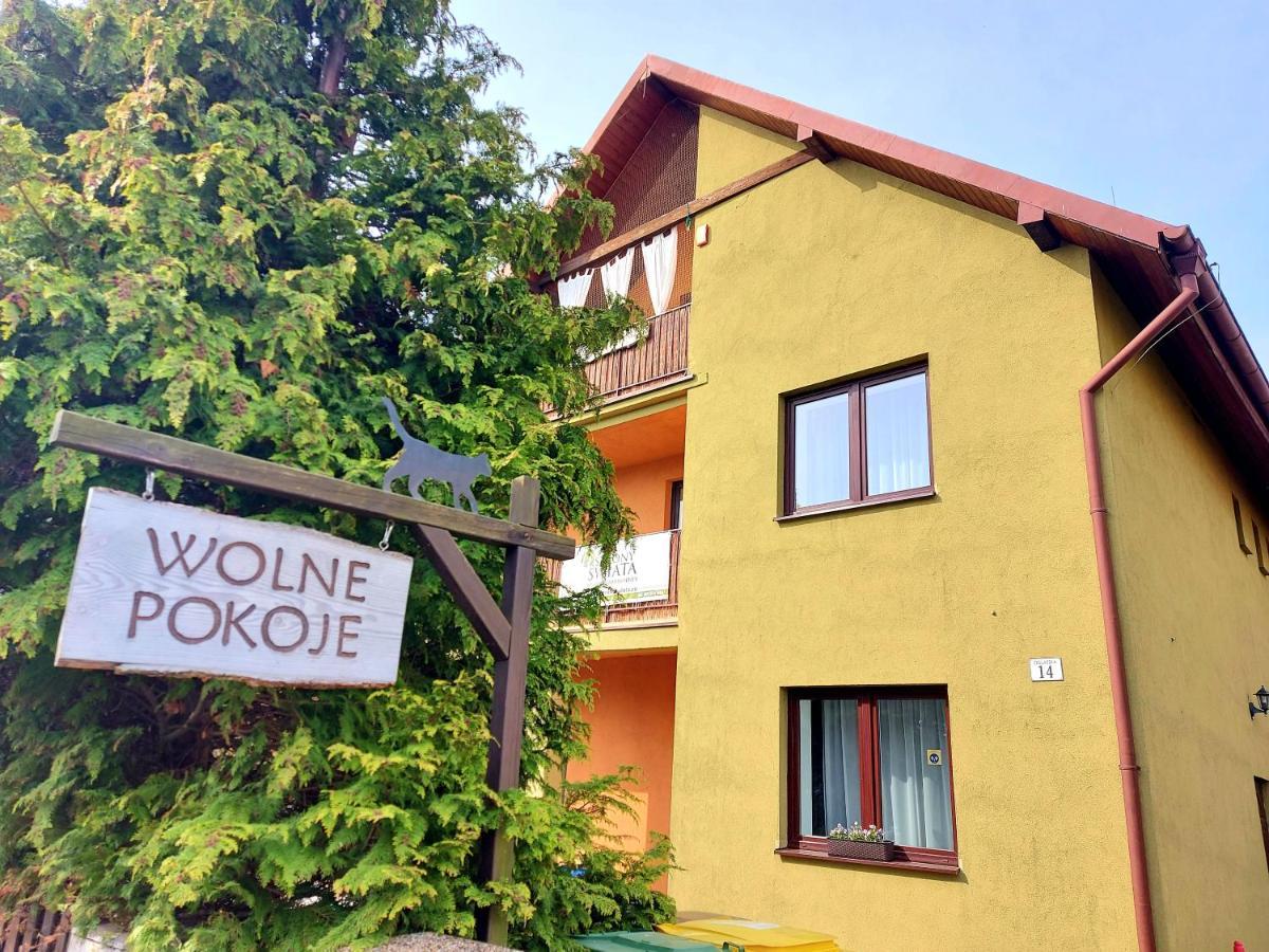4 Strony Swiata Pokoje I Apartamenty 드지비르지노 외부 사진